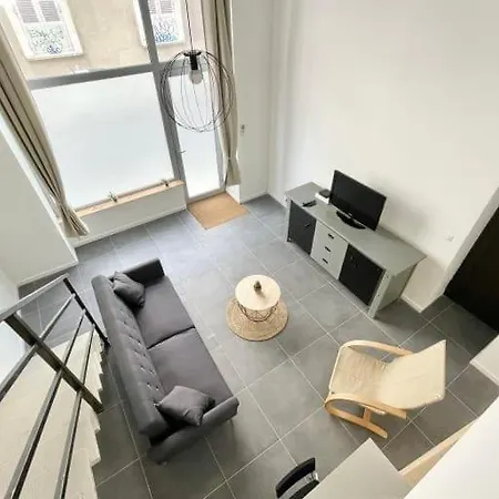 Appartement Petit Loft Centre *