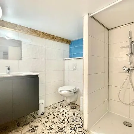 Petit Loft Centre גרנובל