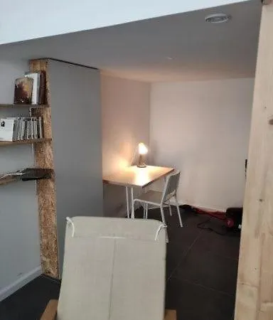 Appartement Petit Loft Centre