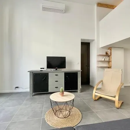 Petit Loft Centre דירה גרנובל